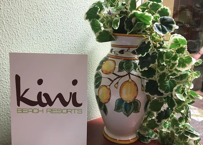 Life Dei Baroni * Siraküza